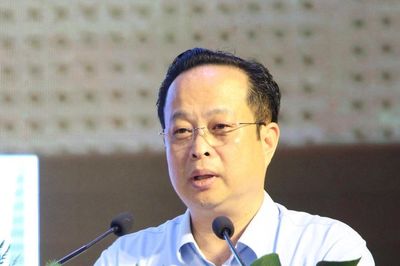 Phó Chủ tịch HĐND Hà Nội: 'Bây giờ Hà Nội không vội không được'