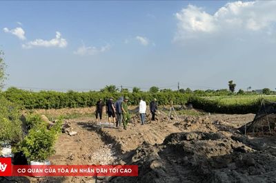 Ninh Bình: Đổ trái phép 177 tấn chất thải rắn, 2 người bị khởi tố