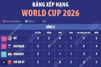 Bảng xếp hạng World Cup 2026: Bảng D - E - F