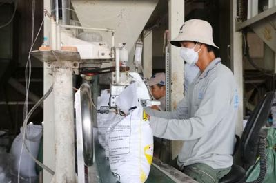 Kinh tế tư nhân trở thành động lực của tăng trưởng xanh ở An Giang