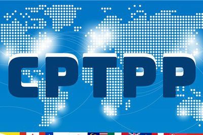 CPTPP khởi động đàm phán sơ bộ về việc kết nạp Indonesia, Philippines và UAE