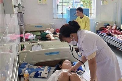 Sốt xuất huyết gia tăng, cần tăng cường giám sát, xử lý ổ dịch