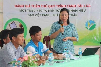 Cần Thơ thí điểm chứng nhận 'Gạo Việt xanh' bằng ứng dụng số