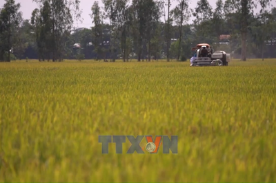 TP. Hồ Chí Minh tiên phong phát triển thị trường thương mại năng động