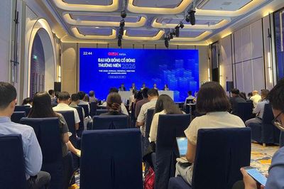 Hạ tầng Gelex sẽ không chia cổ tức năm 2025, chào bán 100 triệu cổ phiếu riêng lẻ