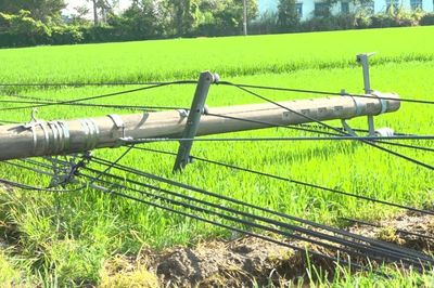 Thăng Điền có 8.260 khách hàng mất điện do gió lốc ngã đổ 17 trụ điện trung thế