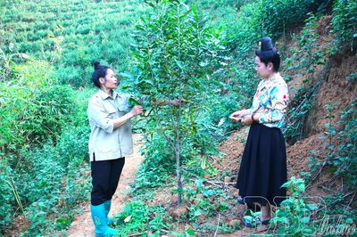 Na Son cụ thể hóa nghị quyết bằng việc làm thiết thực
