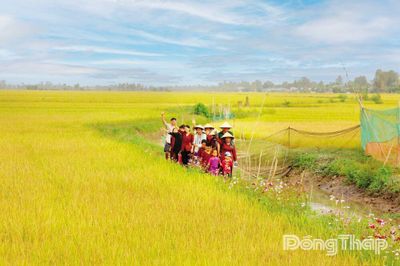 Câu chuyện về sếu đầu đỏ gắn với nền văn minh lúa nước