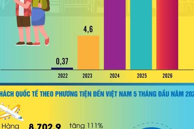 Khách quốc tế đến Việt Nam vượt mốc 10 triệu lượt người