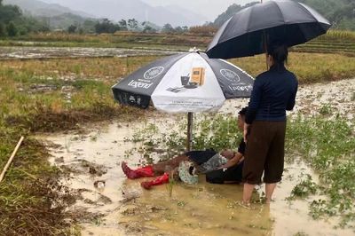 20 ngôi nhà ảnh hưởng do mưa lớn, một người ở Tuyên Quang bị sét đánh tử vong