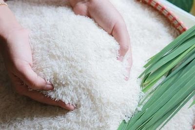 Ngày 26/6: Giá gạo nguyên liệu xuất khẩu tăng, lúa đi ngang