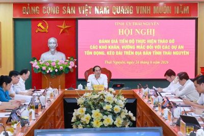 Thái Nguyên giải quyết dứt điểm các dự án tồn đọng kéo dài
