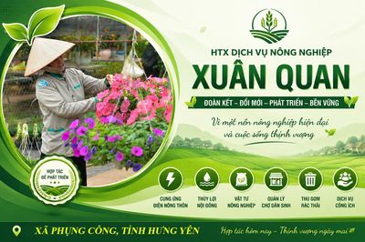 HTX Dịch vụ nông nghiệp Xuân Quan: Từ dịch vụ đa ngành đến danh hiệu 'Ngôi sao Hợp tác xã'
