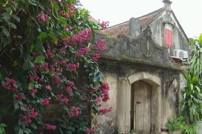 Đường Lâm - Vẻ đẹp di sản giữa lòng Thủ đô
