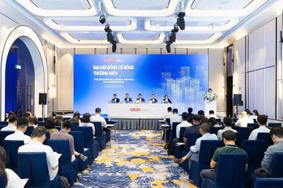 ĐHĐCĐ Hạ tầng Gelex (GEL) 2026: Chào bán 100 triệu cổ phiếu trả nợ dự án sân bay Gia Bình, ước lãi 6 tháng đạt 980 tỷ đồng