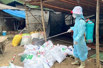 Phát hiện ổ dịch cúm gia cầm A/H5N1 tại phường Tân Giang