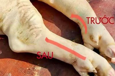 Đi chợ nên mua chân giò trước hay sau thì ngon hơn? Cách phân biệt, chọn chân giò chuẩn nhất