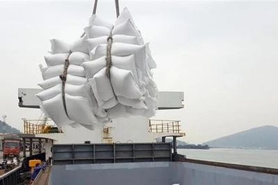 Xuất khẩu gạo 6 tháng ước đạt 5 triệu tấn, thu về 2,36 tỷ USD
