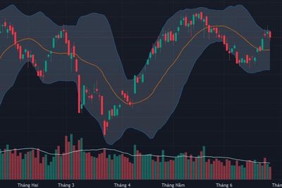 Chứng khoán hôm nay 25/6: VN-Index điều chỉnh, khối ngoại xả ròng hơn nghìn tỷ