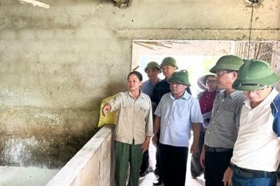 Nghệ An phấn đấu tiêm phòng bắt buộc đạt trên 70% tổng đàn gia súc, gia cầm
