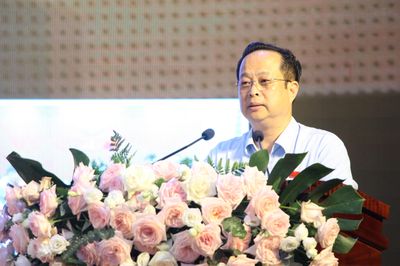 Phó Chủ tịch Thường trực HĐND Hà Nội: 'Bây giờ không vội không được'