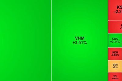 Cổ phiếu họ Vin tiếp tục 'gánh' thị trường