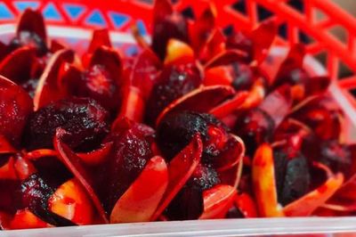 Loại quả xưa rụng đầy bờ rào không ai ngó giờ thành đặc sản lên tới 500.000 đồng/kg, trồng một lần thu hoạch cả đời