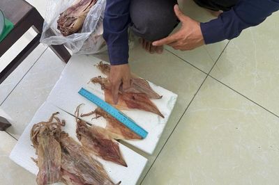 Khởi tố Nguyễn Văn Tuấn trộm mực khô giấu vào trong quần