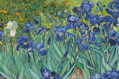 Kiệt tác Van Gogh vẽ sau song sắt bệnh viện tâm thần