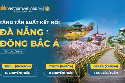 Tăng tần suất các đường bay từ Đà Nẵng đến Đông Bắc Á