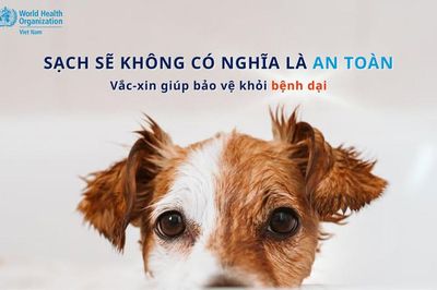 Thú cưng sạch sẽ chưa chắc đã an toàn trước sự tấn công của virus dại