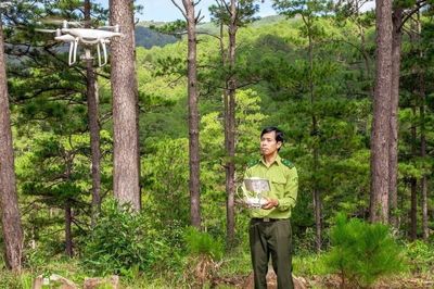 Tháo gỡ vướng mắc trong công tác quản lý rừng của Ủy ban nhân dân cấp xã, hướng tới quản trị rừng ổn định, tạo giá trị kinh tế lâu dài