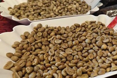 Giá cà phê hôm nay, 27-6: Robusta giao ngay vẫn 'nóng'