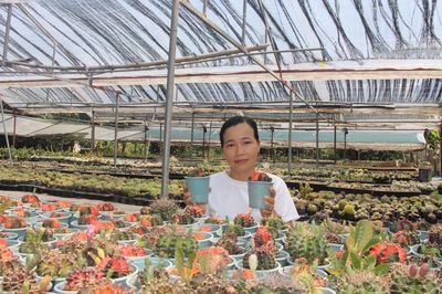 Cô gái trẻ bỏ phố về quê khởi nghiệp trồng xương rồng