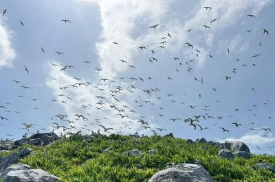 Phát triển Côn Đảo thành 'thiên đường du lịch nghỉ dưỡng sinh thái và tâm linh'