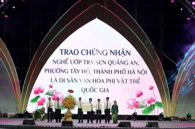 Từ đầm sen ngoại ô đến tinh hoa sen Hà Nội