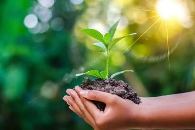 Muôn vàn ước mong cho một đời cống hiến