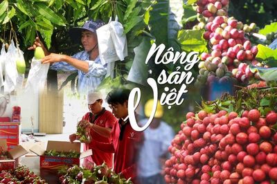 Cơ hội mới cho nông sản Việt