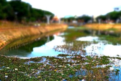 Cá chết, rác thải ngập suối 'hoa' Hội Phú