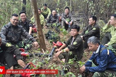 Thức trắng giữa biển lửa, giữ trọn màu xanh của rừng