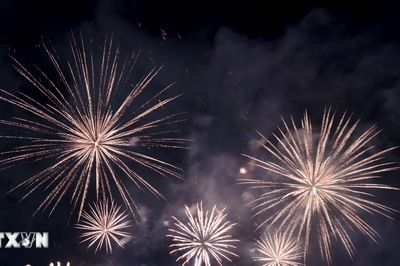 Lễ hội Pháo hoa Quốc tế Đà Nẵng: Đêm thi bùng nổ của đội Australia và Bồ Đào Nha