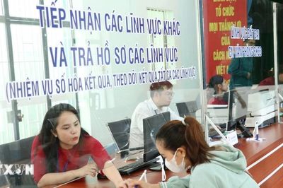 Thực hiện hiệu quả 11 Nghị quyết về cắt giảm, đơn giản hóa thủ tục hành chính