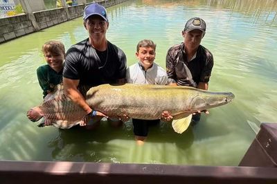 Bé trai câu được con cá khổng lồ nặng 130kg trong hồ