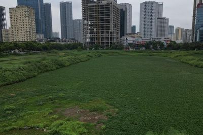 Hơn thập kỷ bỏ hoang, cỏ dại phủ kín công viên điều hòa khu đô thị Tây Nam Hà Nội