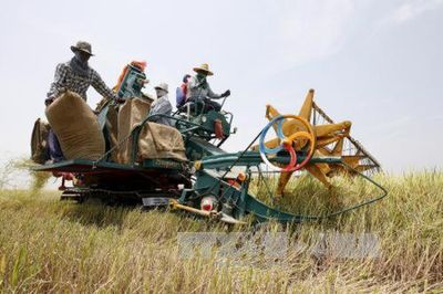 Thái Lan: 'Tiếp sức số' cho nông dân