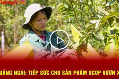 Quảng Ngãi: Tiếp sức cho sản phẩm OCOP vươn xa