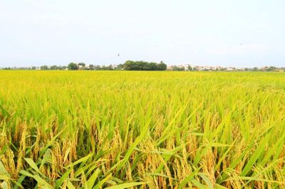 Nỗi niềm tháng Sáu