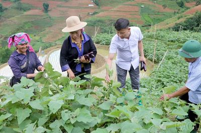 Từ '2 giờ làm nông dân' đến những mùa vụ đổi thay ở Lao Chải