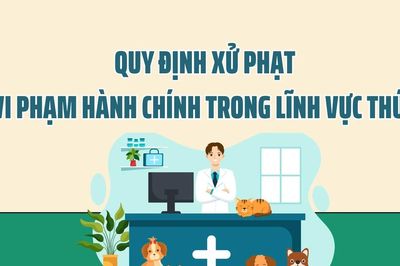 Quy định xử phạt vi phạm hành chính trong lĩnh vực thú y