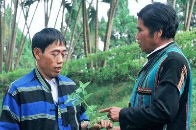 Ngược ngàn tìm thầy giỏi, thuốc hay